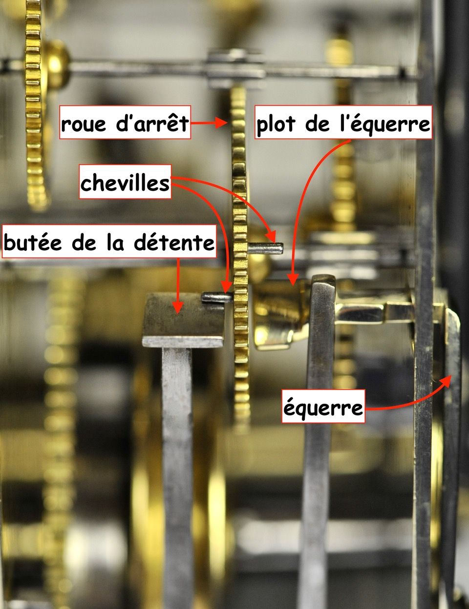 Pièce Montre AS Schild 976 - Arbre De Barillet - Neuf Sans Emballage D'Origine
